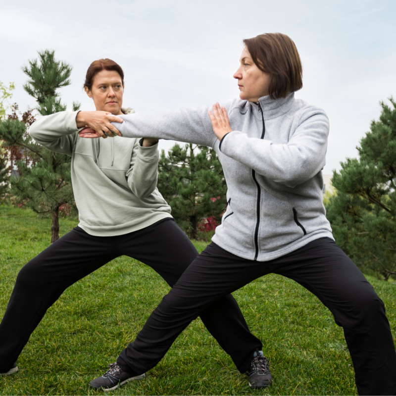 tai chi qi gong